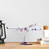 Zekupp - Maket Uçak - Boeing 737-800 1/100 - ABD ÖZEL TASARIM Model Uçak