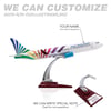 Zekupp - Maket Uçak - Boeing 737-800 1/100 - RENKLİ ÖZEL TASARIM Model Uçak