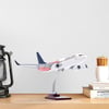 Zekupp - Maket Uçak - Boeing 737-800 1/100 - ABD ÖZEL TASARIM Model Uçak