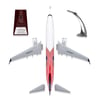 Zekupp - Maket Uçak - Boeing 737-800 1/100 - ABD ÖZEL TASARIM Model Uçak
