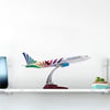 Zekupp - Maket Uçak - Boeing 737-800 1/100 - RENKLİ ÖZEL TASARIM Model Uçak