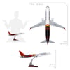 Zekupp - Maket Uçak THY LİSANSLI - Boeing 737-800 1/100 - GALATASARAY LİSANSLI Model Uçak