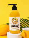 Mango Nem ve Yenileyici Şampuan 300 ml