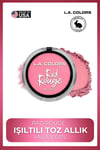 Rad Rouge Allık Serisi - Yoğun Renk Veren Uzun Süre Kalıcı Canlı Görünüm #CBL725 Valley Girl