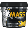 Bigjoy BigMass +GH Factors 3000 gr