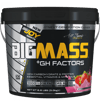 Bigjoy BigMass +GH Factors 3000 gr