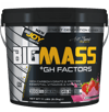 Bigjoy BigMass +GH Factors 5000 gr