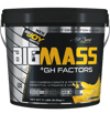 Bigjoy BigMass +GH Factors 5000 gr