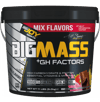 Bigjoy BigMass +GH Factors 5000 gr