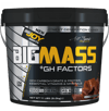 Bigjoy BigMass +GH Factors 5000 gr
