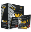 Bigjoy BigMass Go! +Gh Factors 5000 gr