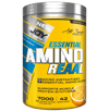 Bigjoy Essential Amino Reaal 420 gr