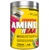 Bigjoy Essential Amino Reaal 420 gr