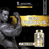 Kevin Levrone Gold Tribulus