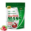 MASSTECH MASS GAİNER KARBONHİDRAT TOZU 1500 GR