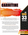 Nowup Nutrition Extreme Synergy L Carnitine 1000 ml