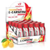THERMOTECH L-CARNİTİNE 3000 MG 20 SHOT X 100 ML