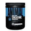 Universal Animal Creatine 300 gr