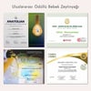 Ayolis Premium Anne Bebek Ödüllü Yüksek Polifenollü İlk Hasat Soğuk Sıkım Natürel Sızma Zeytinyağı 500 Ml