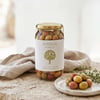 Ayolis Çizik Yeşil Zeytin XL 650 g kavanozu ve yeşil zeytin sunumu