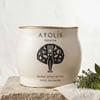 Ayolis Premium Gurme Yağlı Salamura Siyah Zeytin S 1700 g servis görseli