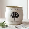 Ayolis Premium Gurme Yağlı Salamura Siyah Zeytin L 1700 g ambalajı ve servis tabağı