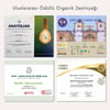 Ayolis Premium Organik Ödüllü Yüksek Polifenollü Soğuk Sıkım Natürel Sızma Zeytinyağı 2 Lt