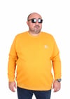 Erkek Büyük Beden Sıfır Yaka 3ip Sweat BRB 24206 HARDAL