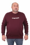 Mocgrande Erkek Büyük Beden Sıfır Yaka Sweat Streetwear 23206 MURDUM