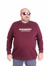 Erkek Büyük Beden Sıfır Yaka 3ip Sweat BRB 24201 MURDUM