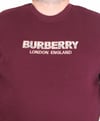 Erkek Büyük Beden Sıfır Yaka 3ip Sweat BRB 24201 MURDUM