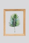 Muyika Regina Ocaliptus 3 Parça Ahşap Çerçeveli Cam Üstü Baskı Tablo Seti 28x66cm 