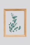 Muyika Regina Ocaliptus 3 Parça Ahşap Çerçeveli Cam Üstü Baskı Tablo Seti 28x66cm 