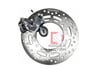 Arora Beatrix -AKalite- Arka Disk 