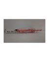 Kendo Blade Minnow 125F 125 mm 16.2 gr Floating Sahte Balık C:12
