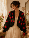 Rosa Mister Lincoln