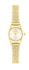 CALVIN KLEIN CK25100201