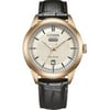 CITIZEN AW0153-04AC ERKEK KOL SAATİ
