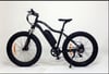 Frank Müller E-Bike / Fat Bike (Big Edition)
