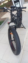Frank Müller E-Bike / Fat Bike (Big Edition)