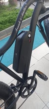 Frank Müller E-Bike / Fat Bike (Big Edition)