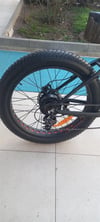 Frank Müller E-Bike / Fat Bike (Big Edition)