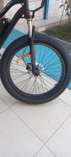 Frank Müller E-Bike / Fat Bike (Big Edition)