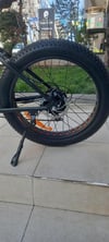 Frank Müller E-Bike / Fat Bike (Big Edition)