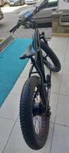 Frank Müller E-Bike / Fat Bike (Big Edition)