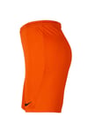 Nike Dri-Fıt Park Iıı Erkek Futbol Şortu Bv6855-819