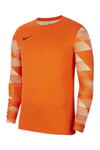 Nike Dri-Fıt Park Iv Erkek Kaleci Forması Cj6066-819