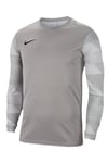 Nike Dri-Fıt Park Iv Erkek Kaleci Forması Cj6066-052