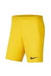 Nike Dry Park Iıı Nb Erkek Futbol Şortu Bv6855-719