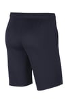 Nike M Nk Df Park20 Erkek Şort Cw6152-451